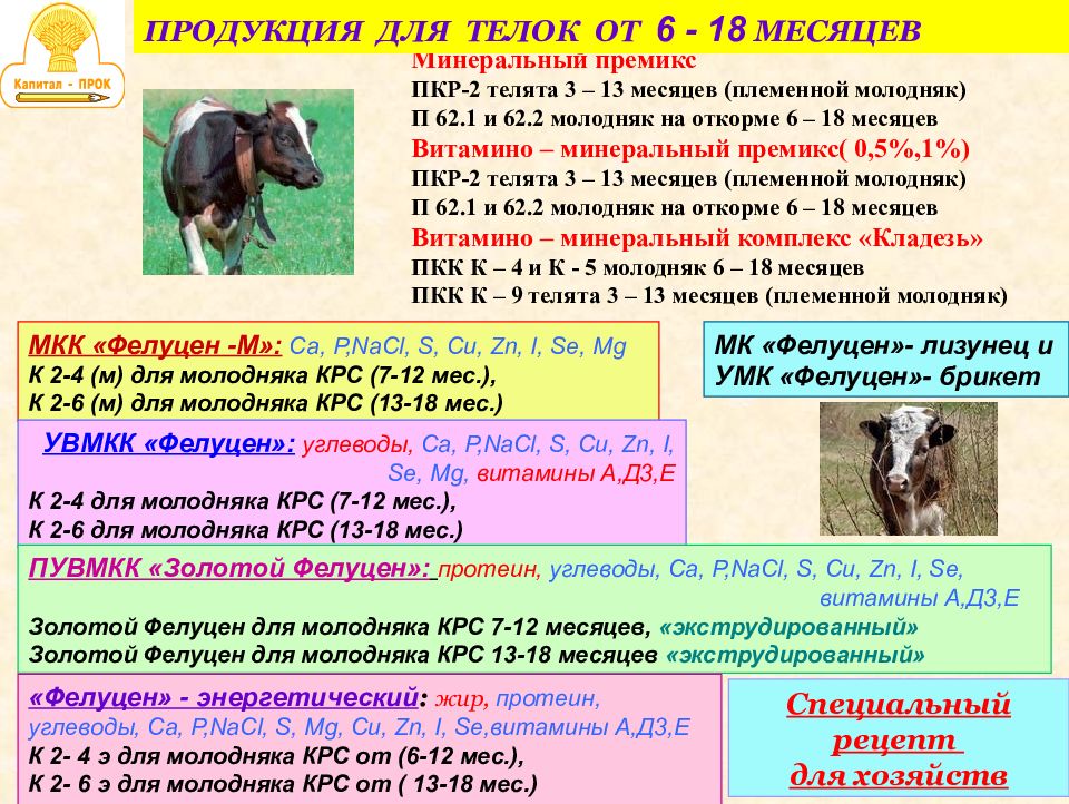 Презентация крупный рогатый скот по географии