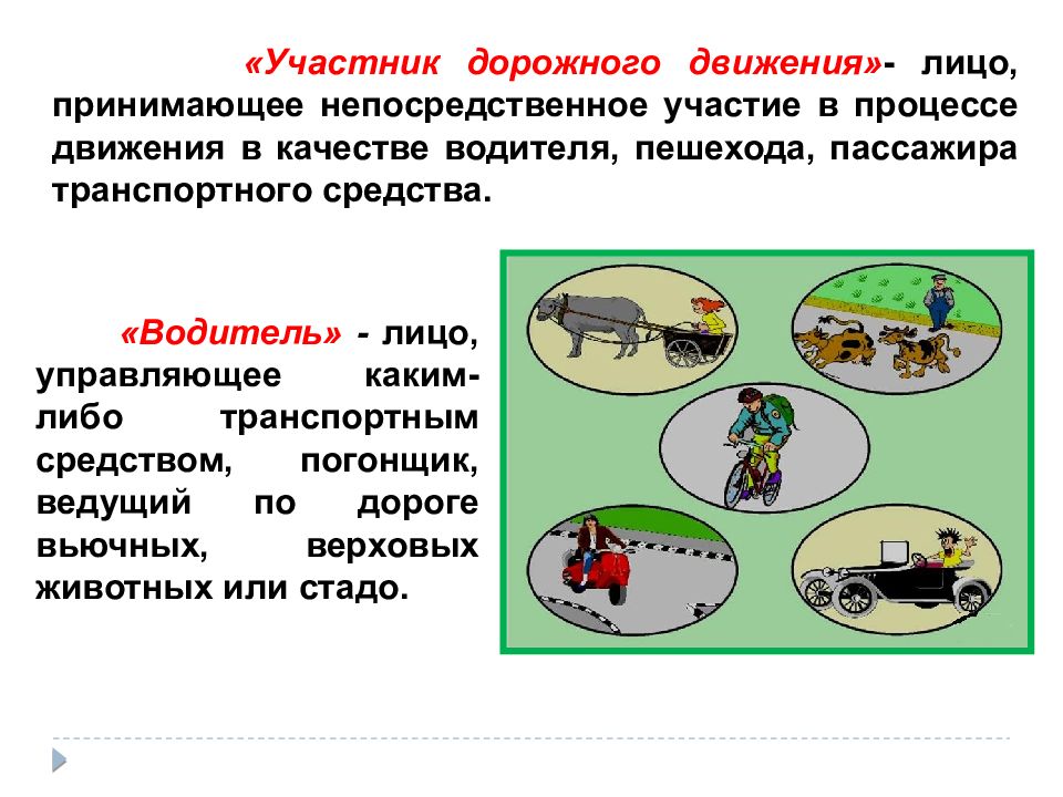 Лицо принимающее участие. Участник дорожного движения - это лицо, принимающее. Принимал непосредственное участие. Погонщик по ПДД.