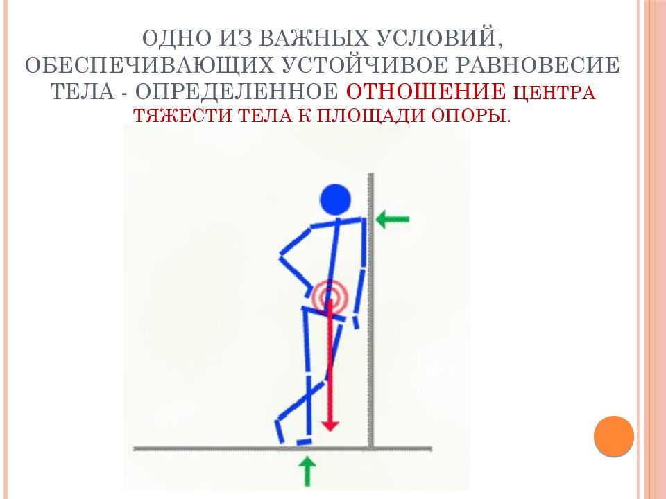 Устойчивого положения тела в пространстве. Центр тяжести. Центр тяжести тела. Устойчивое равновесие тела. Биомеханика тела.