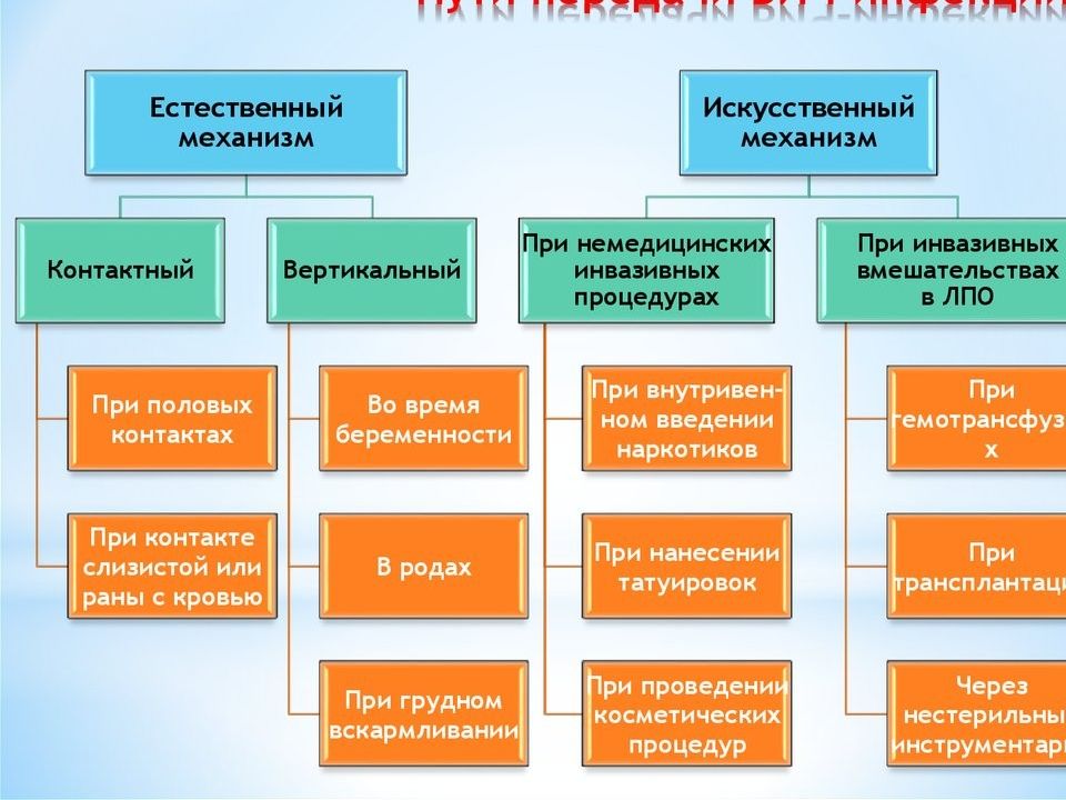 План мероприятий по предупреждению вертикальной передачи вич инфекции