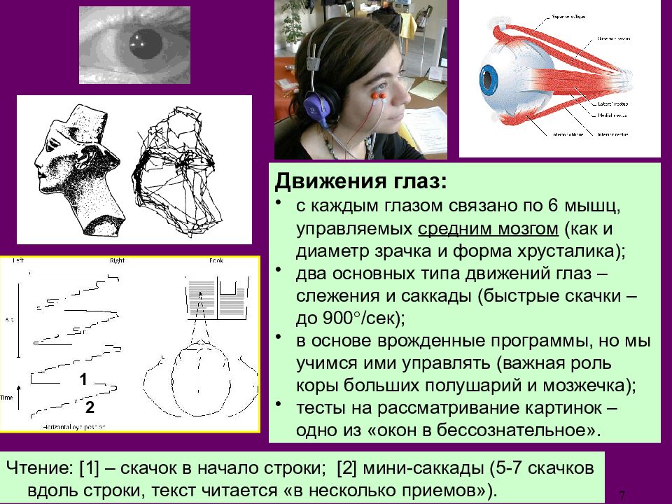 Движение зрение. Движения глаз саккады. Саккады и фиксации. Плавные движения глаз. Движениями глаз управляет.