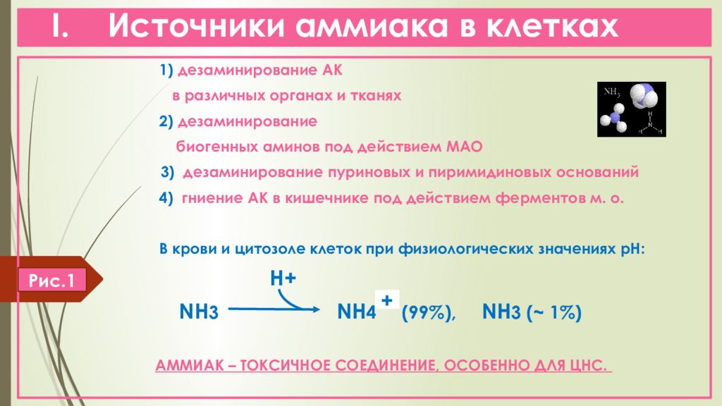 Химии 2018. Источники аммиака биохимия. Источники образования аммиака в организме. Основные источники аммиака в организме. Источники аммиака в клетках.