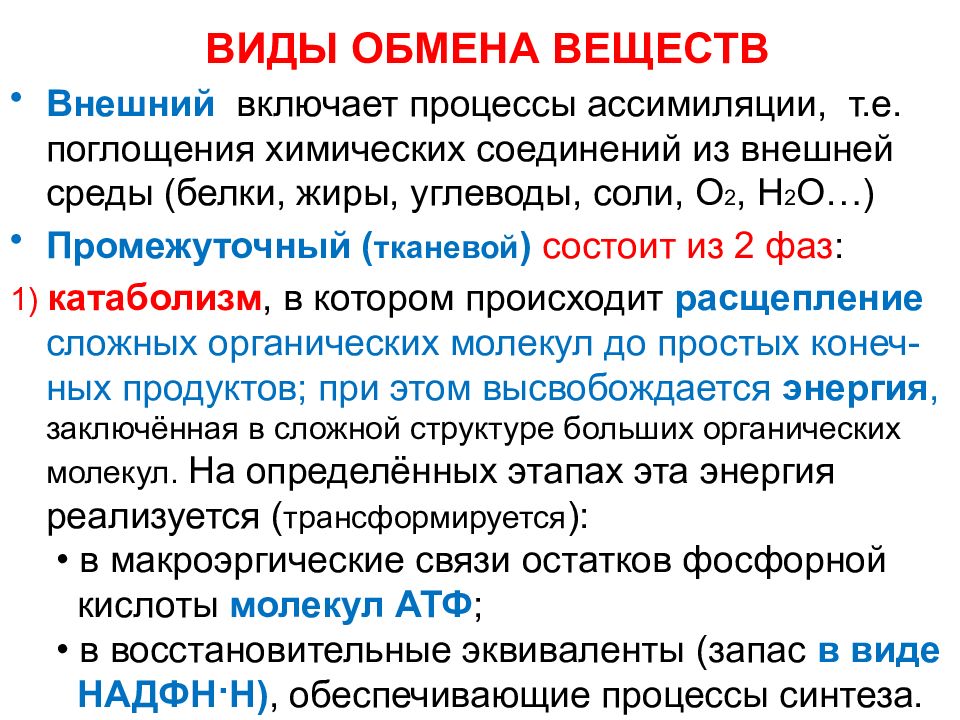 Среда белков. Виды обмена веществ. Типы обменных процессов. 2 Вида метаболизма. Типы обмена веществ дыхание.