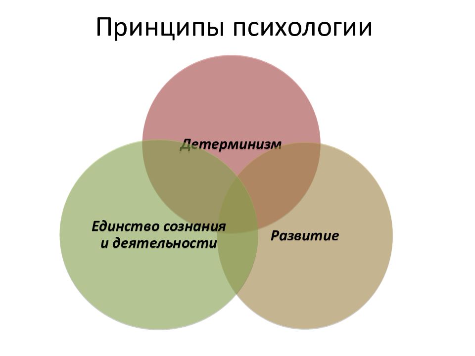 Принцип количества. Принцип детерминизма в психологии. Принципы психологии. Принципы психологии принцип единства. Принципы психологии презентация.