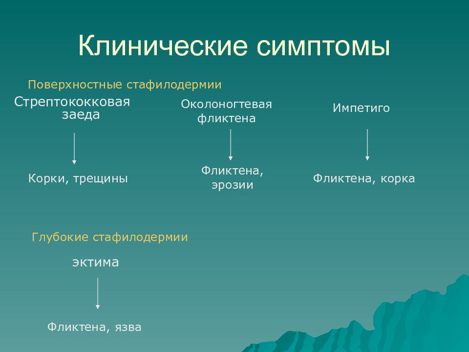 Признаки поверхностного. Стафилодермия клинические проявления. Морфогенез ХСН. Поверхностные стафилодермии. Клинические симптомы стрептококковой заеды.