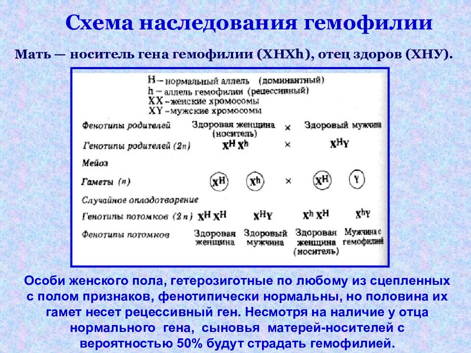 Презентация генетика пола наследование сцепленное с полом наследование