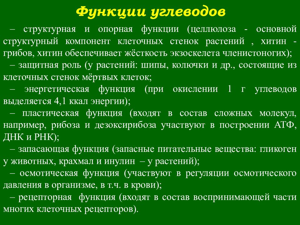 Энергетическая функция углеводов в организме человека