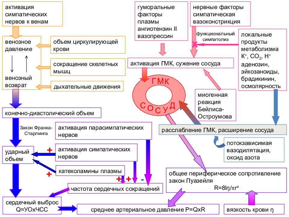 Схема регуляции артериального давления