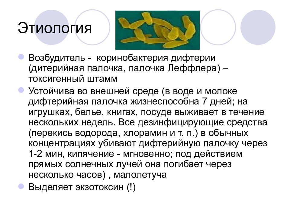 Возбудитель дифтерии является. Возбудитель дифтерии этиология. Возбудитель дифтерии устойчивость. Возбудитель дифтерии устойчив к :.