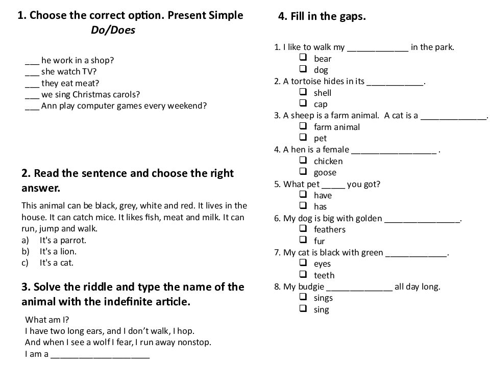 1. Choose the correct option. Present Simple Do/Does  he work in a shop?
