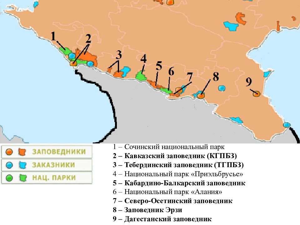 Особая территория. Карта ООПТ Кавказа. Сочинский национальный заповедник границы на карте. Кавказский заповедник Сочи карта. Сочинский национальный парк карта ООПТ.