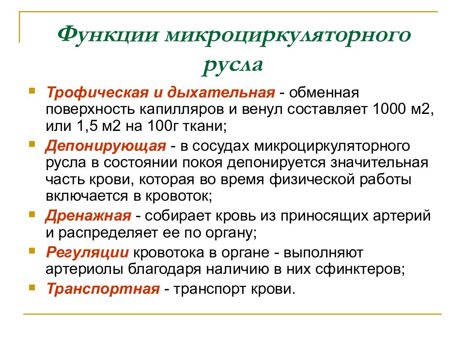 Функции сосудов. Функции микроциркуляторного русла. Функции сосудов микроциркуляторного русла. Микроциркуляторное русло функ. Роль сосудов микроциркуляторного русла.