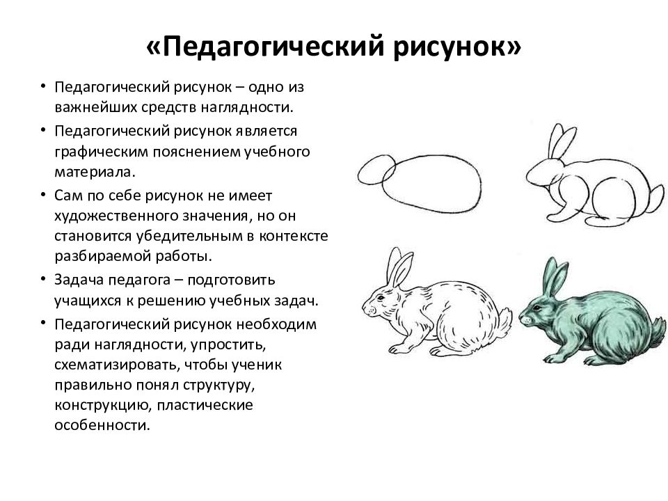 Виды педагогического рисунка