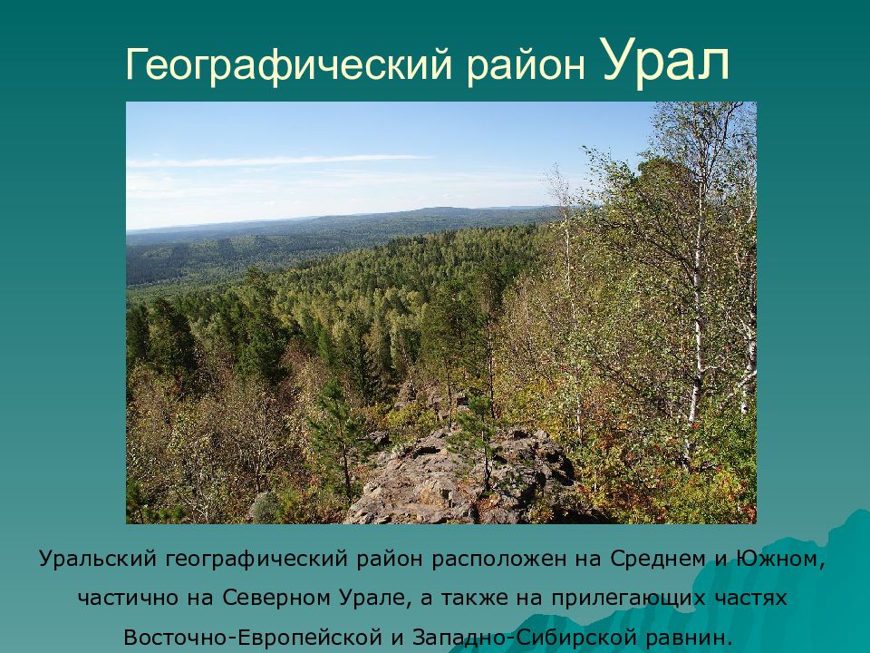 Южные районы урала. Географический Урал. Презентация Северный Урал.