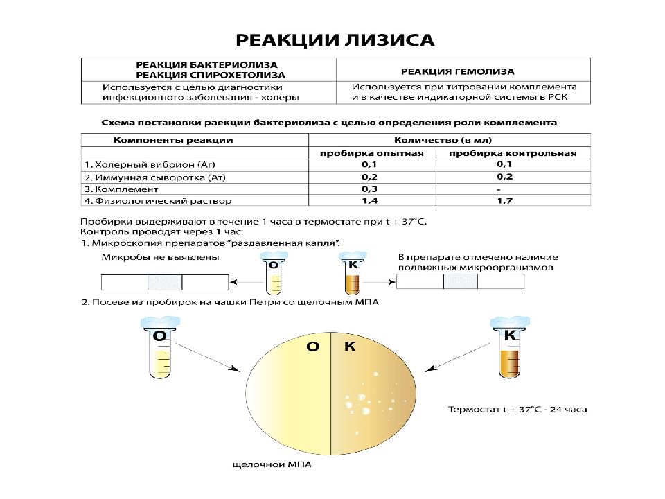 Реакция бактериолизиса. Серологические реакции схема. Серологические реакции презентация. Реакции иммунной сыворотки серологические реакции. Миф серологическая реакция.