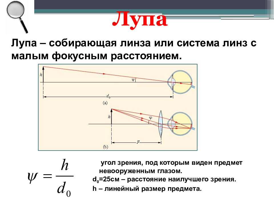 Собирающая линза увеличивает. Оптический прибор лупа ход лучей. Оптические приборы (лупа, фотоаппарат, проекционный аппарат).. Оптические приборы лупа схема. Ход лучей в лупе схема.