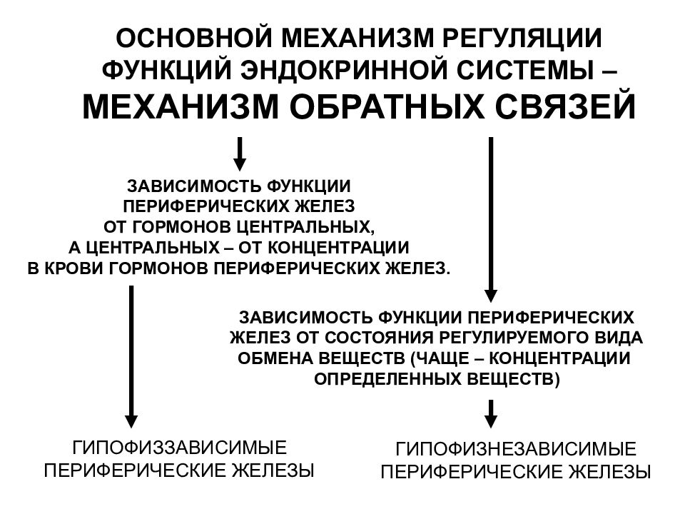 Чем работа эндокринной системы в плане осуществления процессов регуляции