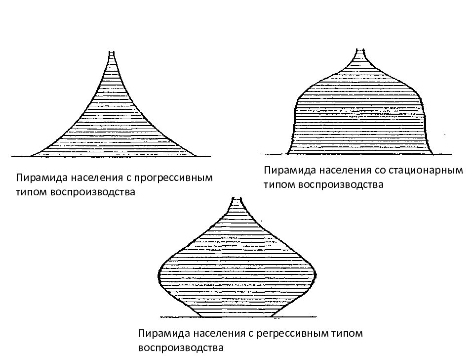 Зоны воспроизводства. Регрессивный Тип половозрастной пирамиды. Структура населения прогрессивная регрессивная стационарная. Типы возрастной структуры населения. Прогрессивный Тип возрастной структуры.