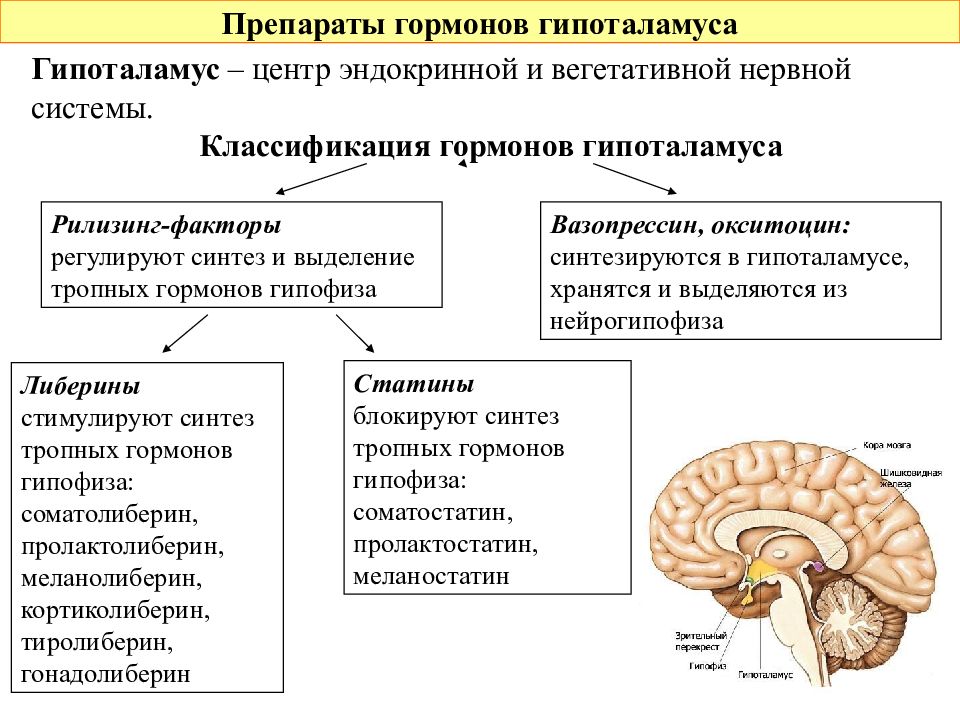 Гормоны гипофиза биохимия презентация