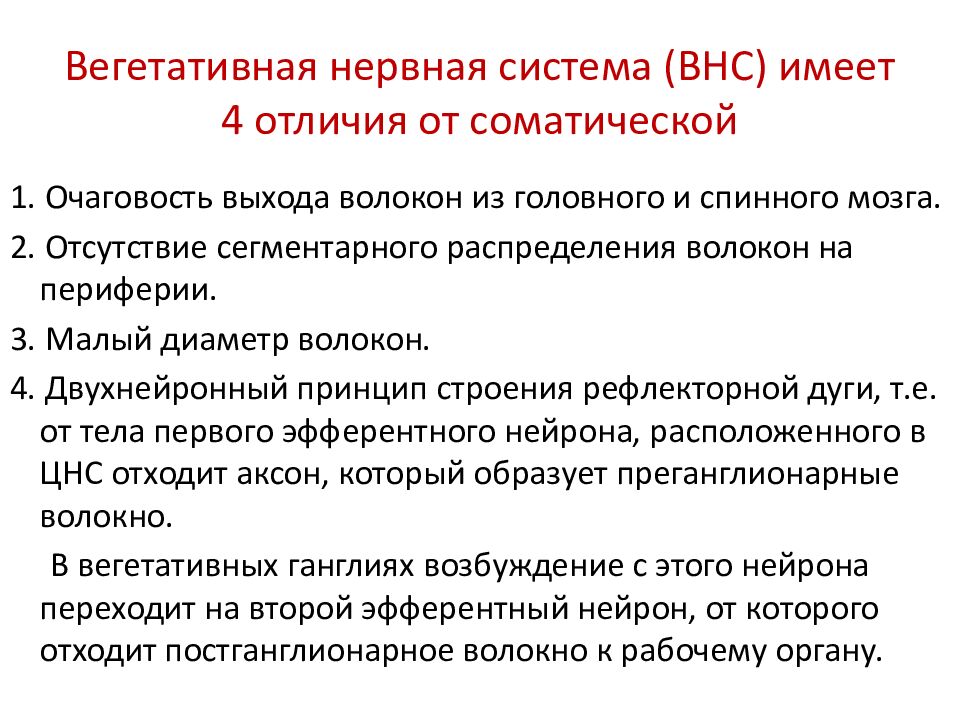 Вегетативная нервная система (ВНС) имеет 4 отличия от соматической