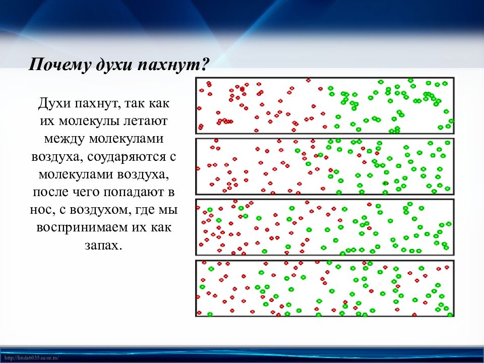 Объем молекулы воздуха. Молекула запаха размер. Молекулы запаха в воздухе. Размер молекулы воздуха.