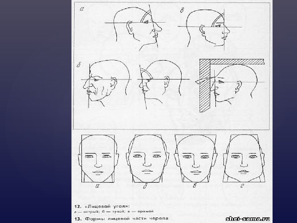 Лицевой рисунок. Лицевой угол. Лицевой угол черепа. Рисунки лицевого угла. Лицевой угол анатомия.