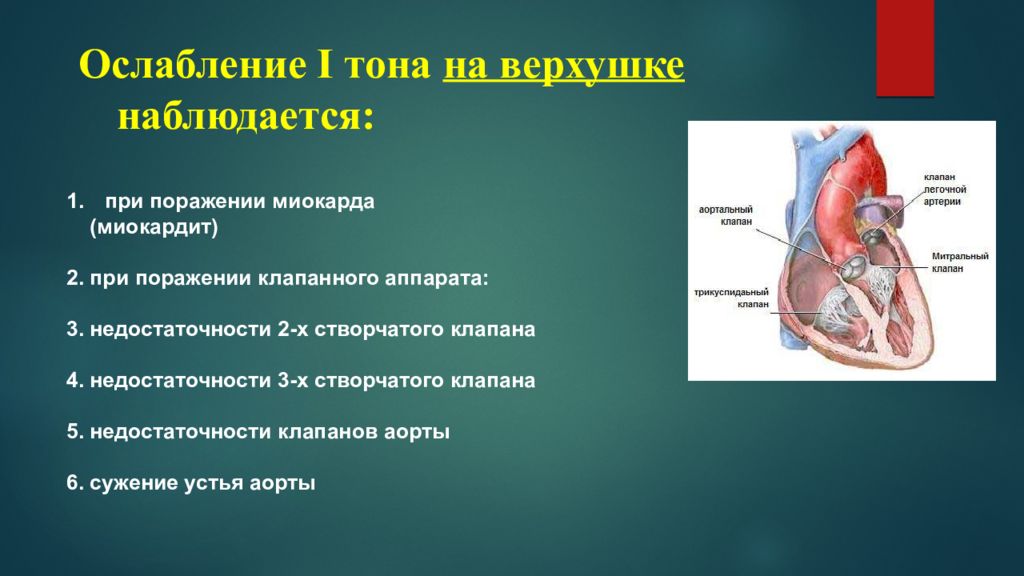 Заболевание сердечно сосудистой системы у детей презентация