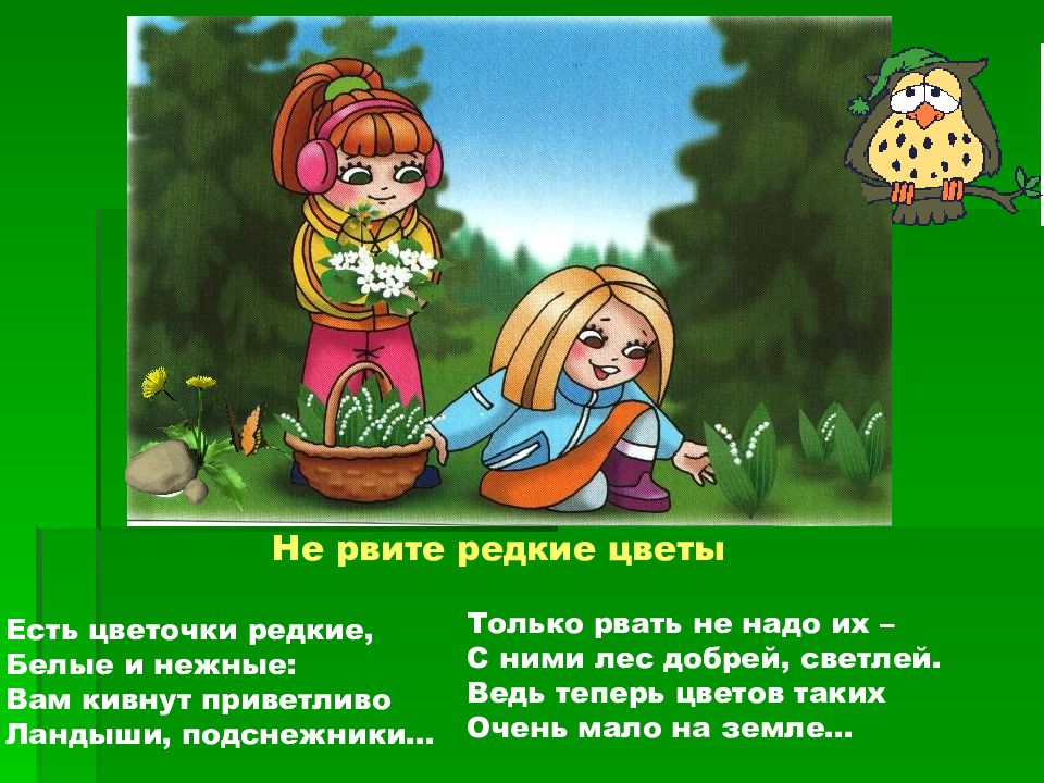 Не рву цветы. Не рвите редкие цветы в лесу. Не рвите редкие цветы. Рисунок не рвите редкие цветы. Правила поведения в лесу не рвать цветы.