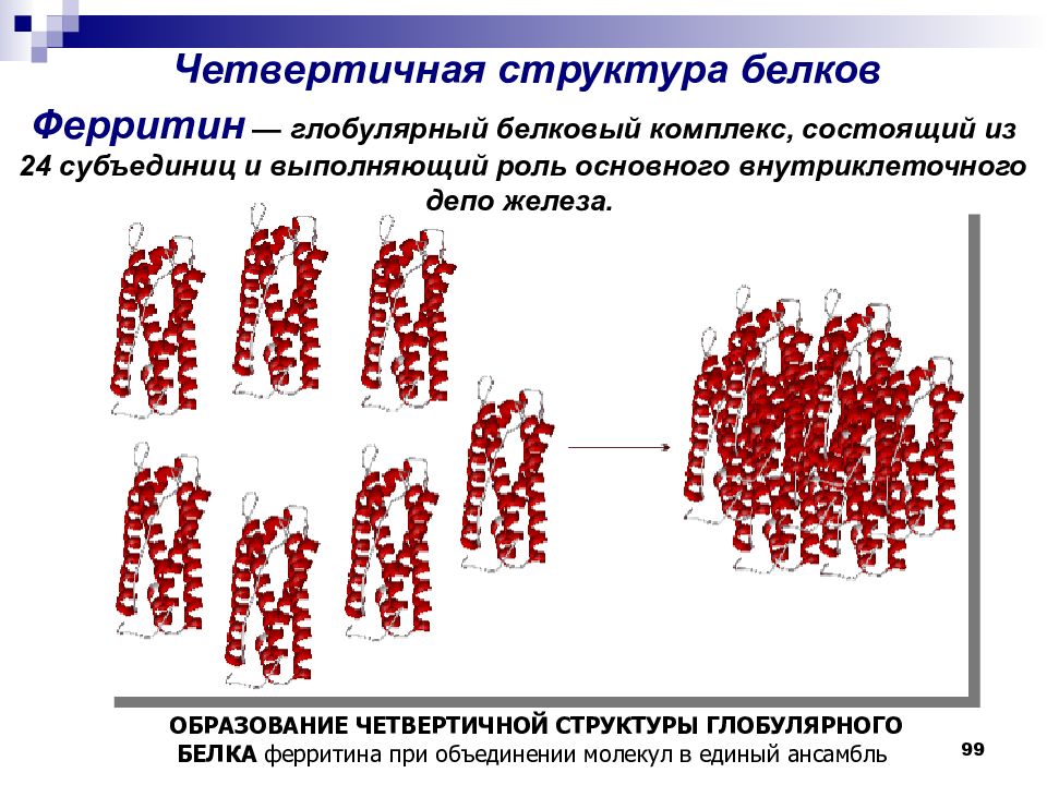 Четвертичная структура белков. Четвертичная структура белка глобула. Образование четвертичной структуры белка ферритина. Ферритин структура белка.