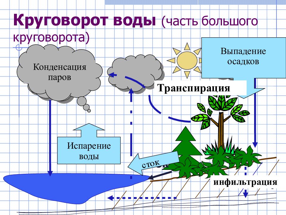 Составьте схему круговорота воды в природе используя следующие компоненты осадки испарение