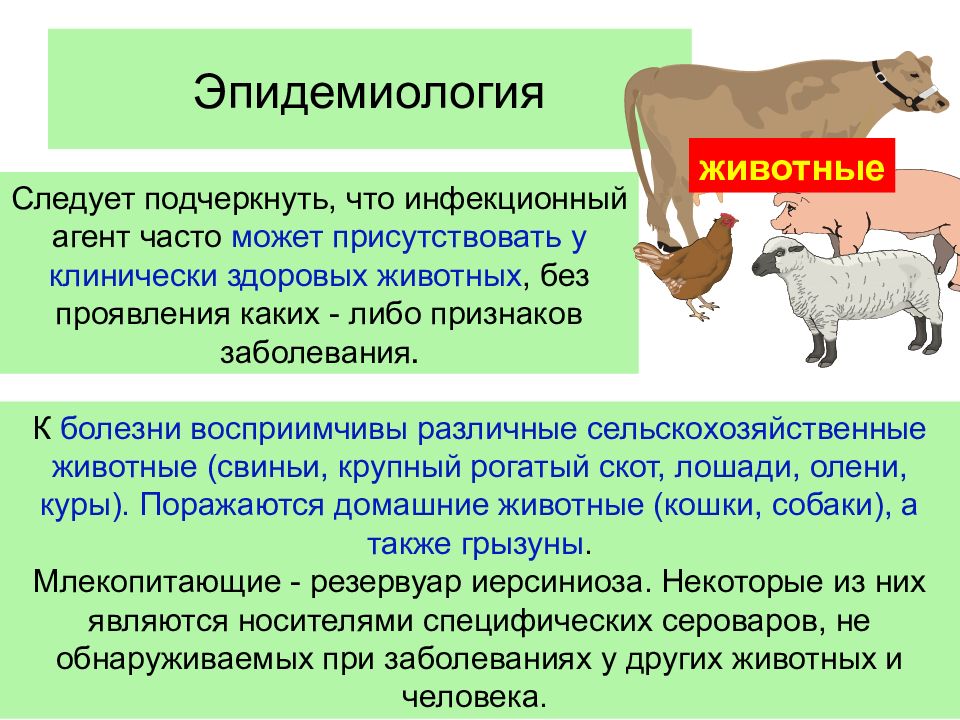 Животные определение. Зоонозы – инфекционные болезни животных. Кишечные инфекции зоонозы. Ветеринарная эпидемиология. Зоонозы классификация.