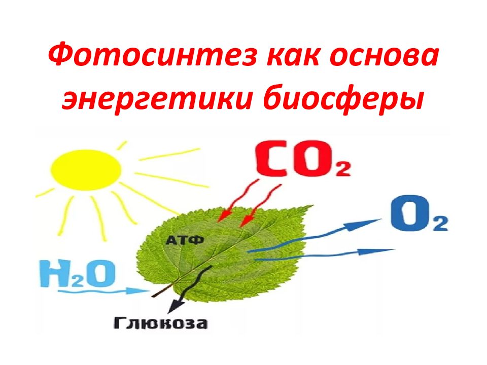 Фотосинтез значение. Схема процесса фотосинтеза 6 класс. Основы фотосинтеза. Фотосинтез картинки. Процесс фотосинтеза рисунок.