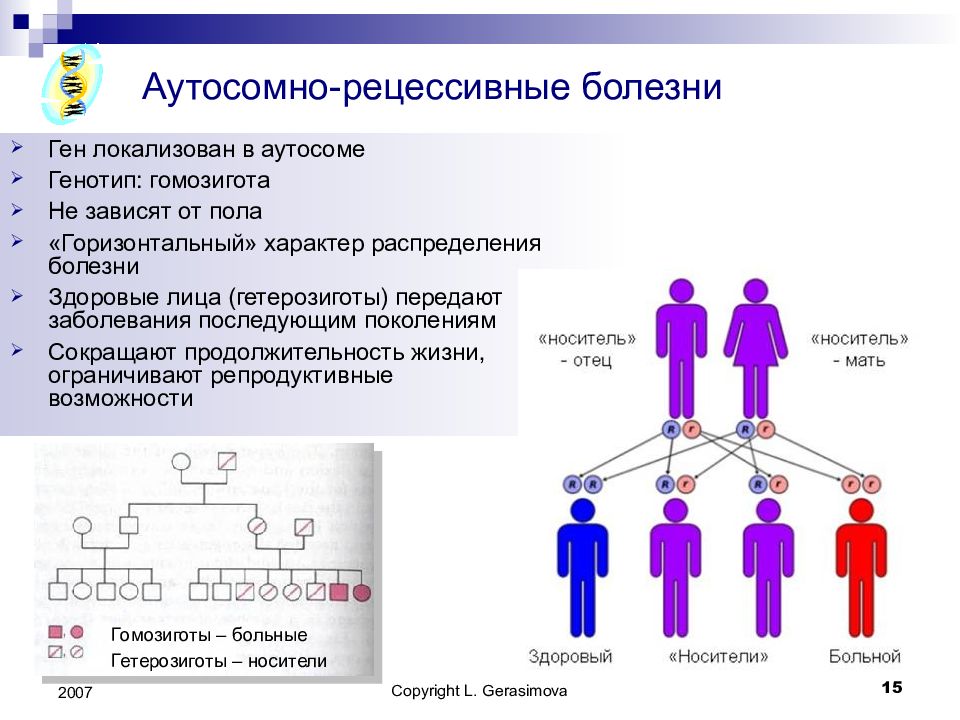 Определение рецессивный ген. Рецессивная гетерозигота. Аутосомный ген. Тип наследования при муковисцидозе. Аутосомно рецессивный Тип наследования генотипы.