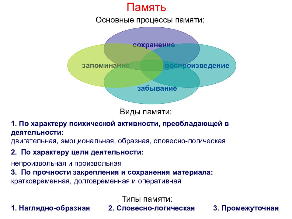 Электронная память