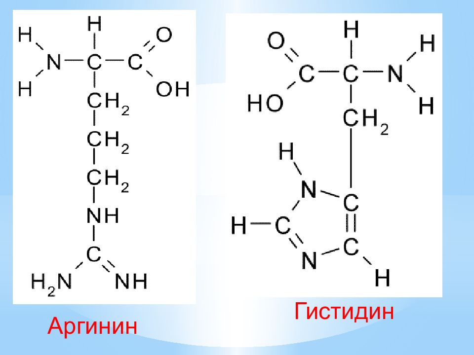 Гистидин формула. Аргинин структурная формула. Аргинин формула. Строение аминокислоты аргинин. Аргинин формула аминокислоты.