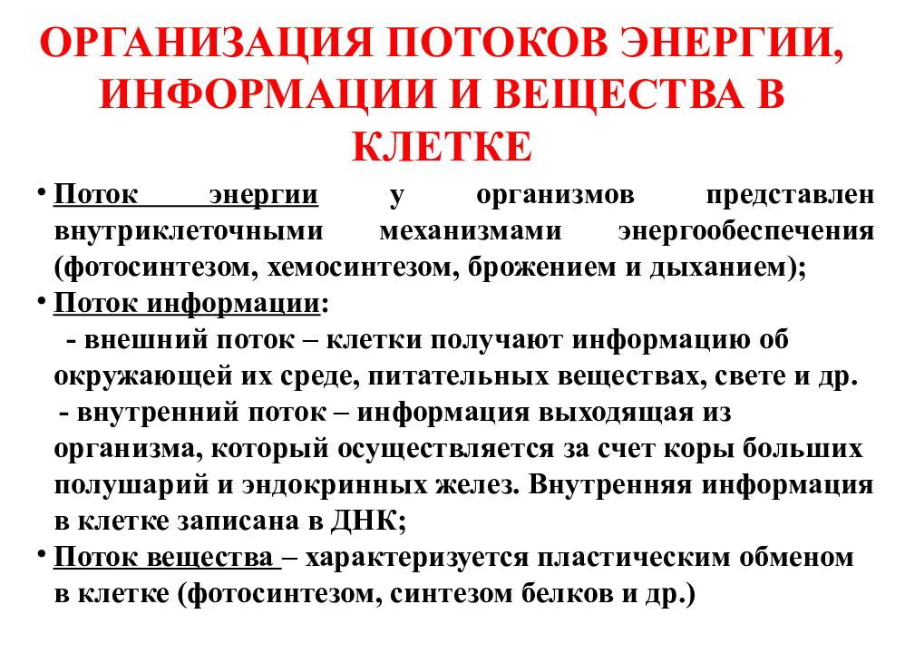 Предприятие поток. Организация потока вещества и энергии в клетке. Организация потока вещества энергии информации в клетке. Поток вещества в клетке. Организация потоков вещества, энергии и информации..