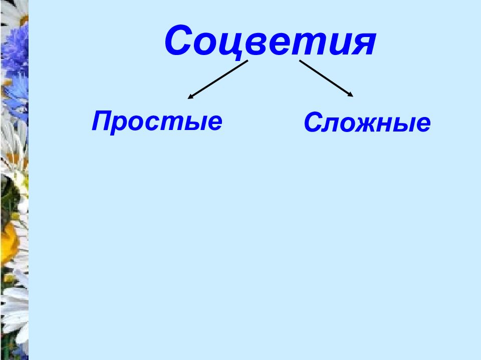 Урока стр. Загадки на тему соцветия.