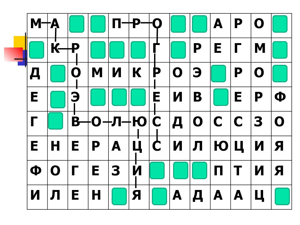 М А С Т П Р О Т Л А Р О Е А К Р Р Т Р Г Н Р Е Г М Р Д Г О М И К Р О Э Н Р О Т Е