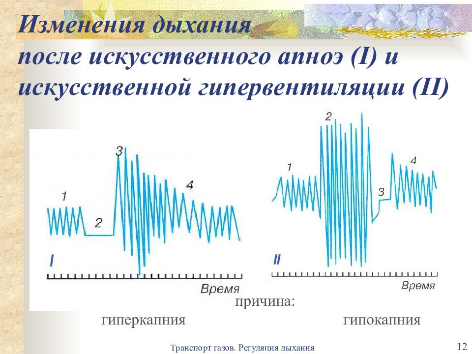 Изменение дыхания. Изменение дыхания после гипервентиляции. Дыхание после гипервентиляции. Причины изменения дыхания после гипервентиляции. Как изменяется дыхание после гипервентиляции?.