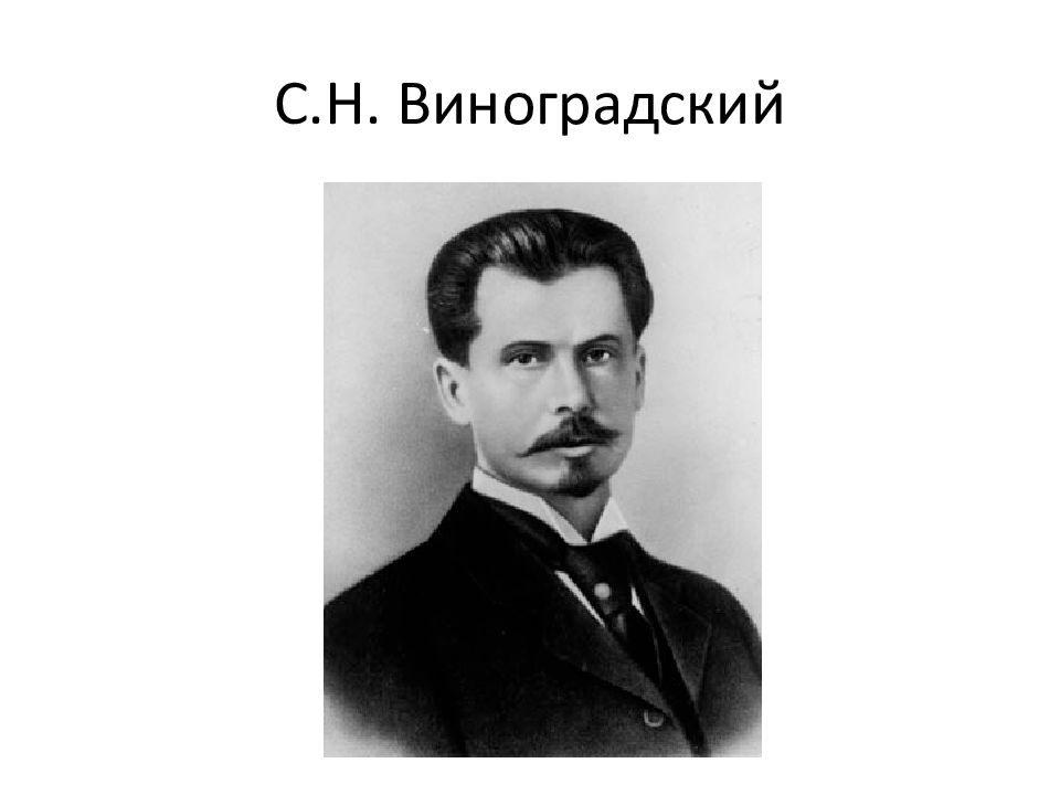 Виноградский. Сергей Николаевич Виноградский (1856-1953). Сергей Виноградский, микробиолог. Микробиолог Виноградский. Сергей Виноградский 1887.