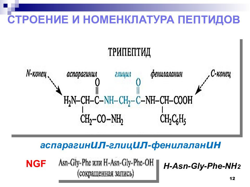 Полипептид строение. Трипептид из аминокислот пример. Пептиды. Структура, номенклатура. Трипептид из аминокислот строение. Пептиды строение номенклатура.