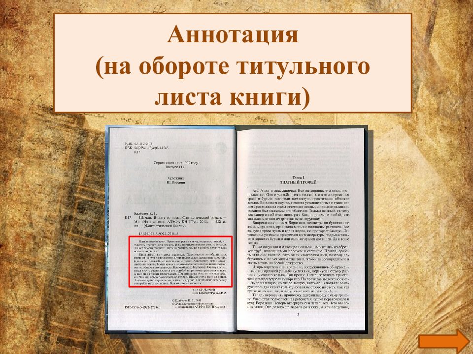 Первые страницы. Оборот титульного листа. Титульная страница книги. Первая страница книги. Сведения на обороте титульного листа книги.