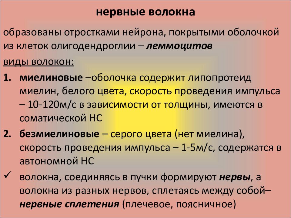 Образованное волокнами. Нервные волокна образованы. Характеристика нервных волокон. Основные свойства нервных волокон. Морфофункциональная классификация нервных волокон.