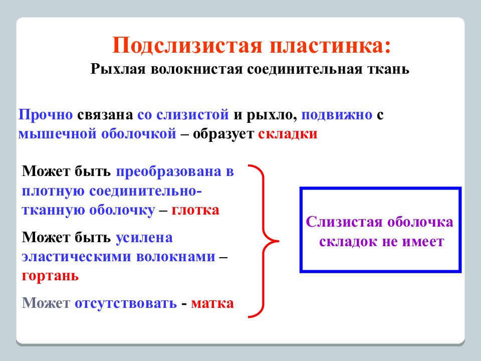 Подслизистая основа какая ткань