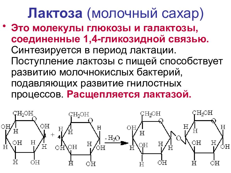 УГЛЕВОДЫ: функции и обмен Лактоза (молочный сахар)