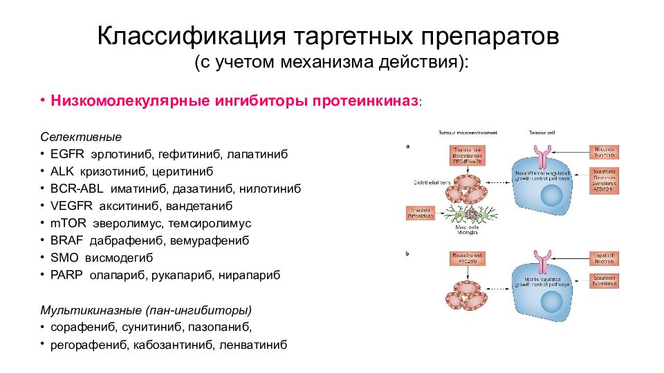 Таргетная терапия в онкологии. Акситиниб механизм действия. Эрлотиниб механизм действия. Вандетаниб механизм действия. Механизм действия олапариба.