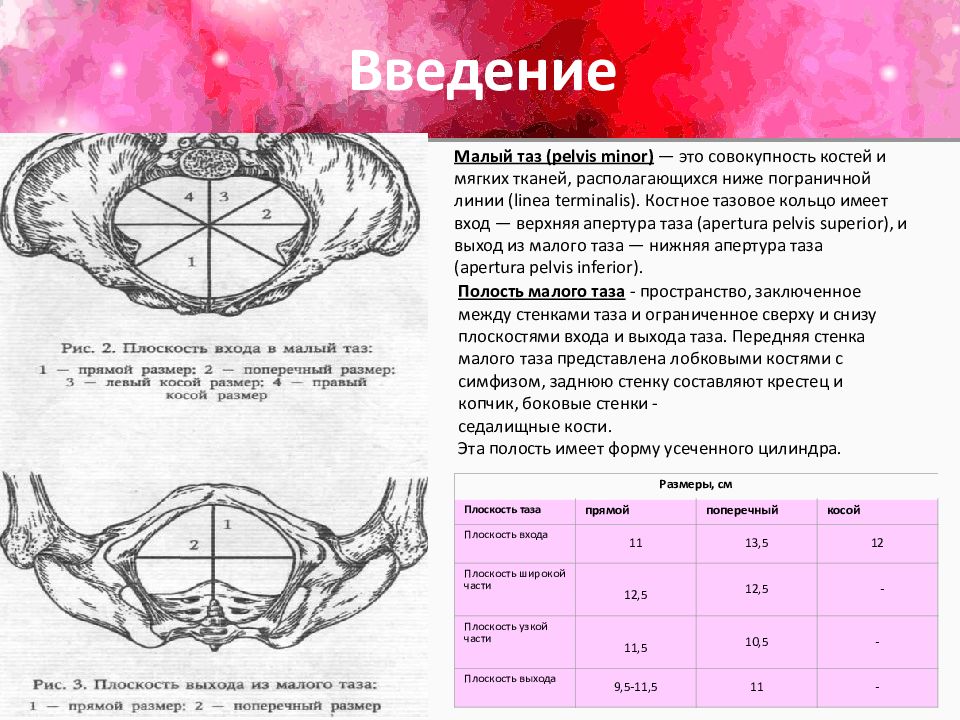 Функции малого таза. Верхняя Апертура малого таза. Малый таз. Большой и малый таз Пограничная линия. Костное кольцо малого таза.