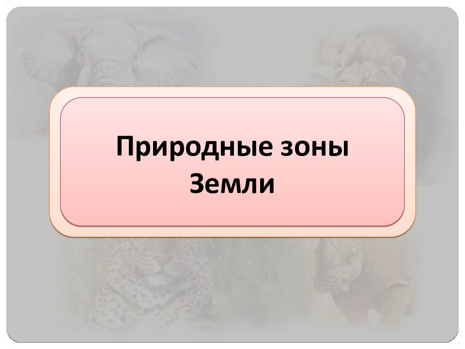 Природные зоны Земли