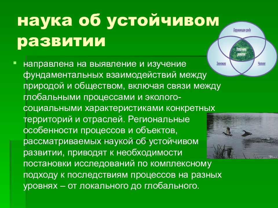 Основа устойчивого. Научные основы устойчивого развития. Устойчивое развитие образ. Основы устойчивого развития архитектуры. Основы устойчивого развития цитаты.