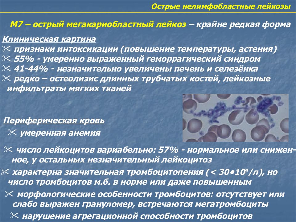 Период острого лейкоза. Острые нелимфобластные лейкозы. Патогенез острого лейкоза. Острый лимфолейкоз презентация. Острый лейкоз этиопатогенез.